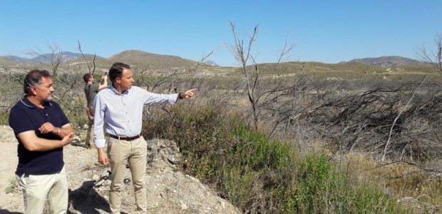 El PP exige al Ministerio de Agricultura la construcción del embalse de reserva para los regantes lorquinos en el Cabezo Colorado