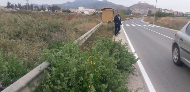 Los vecinos del Camino de Cartagena exigen de nuevo el desbroce y limpieza de los arcenes peatonales, que acumulan 20 meses plagados de basura y matorrales