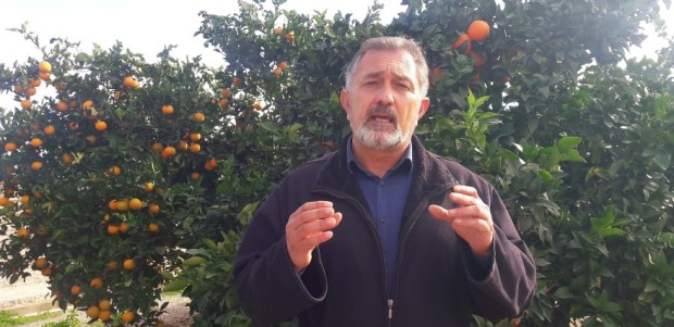 Una docena de jóvenes agricultores lorquinos reciben 320.000€ en ayudas del gobierno regional con el objetivo de impulsar el relevo generacional