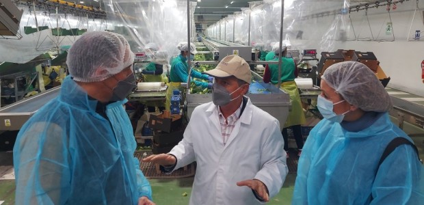 Fulgencio Gil advierte del empeoramiento de la situación en el sector agroalimentario de la comarca: “si el campo para, la economía va a caer en picado”