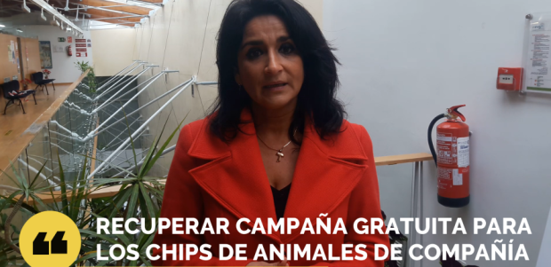 El PP propone recuperar la campaña gratuita anual del ayuntamiento para el chipado de mascotas