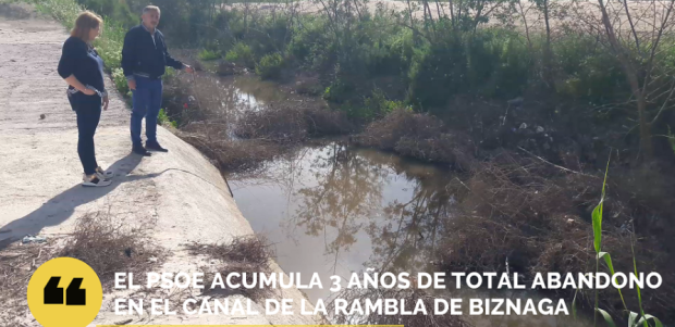 Tres años de abandono convierten el canal de la rambla de Biznaga en una ciénaga de agua pestilente y putrefacta, un serio foco de problemas de salud pública