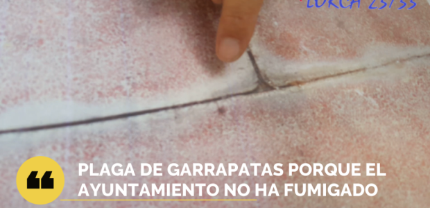 Vecinos del casco histórico denuncian plagas de garrapatas en las calles Martín Piñero y La Vela, cuyas mordeduras ya han afectado a varios niños