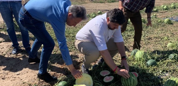 Fulgencio Gil reclama la declaración de zona catastrófica para ayudar a los agricultores afectados por la granizada que ha arruinado miles de hectáreas