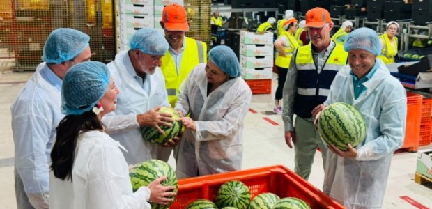 Fulgencio Gil: "Quieren secar la despensa de Europa, pero no vamos a dejar solos a nuestros agricultores"